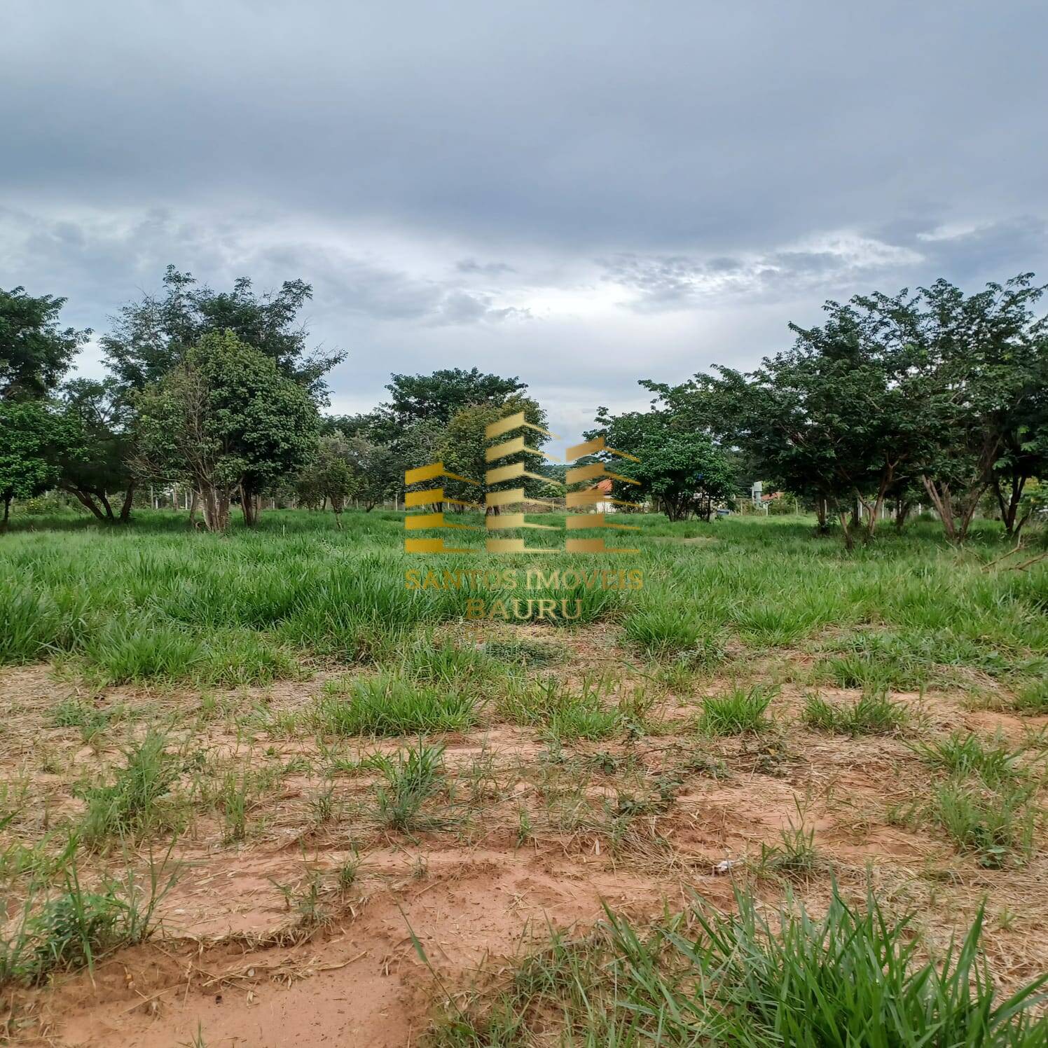 Terreno à venda - Foto 3