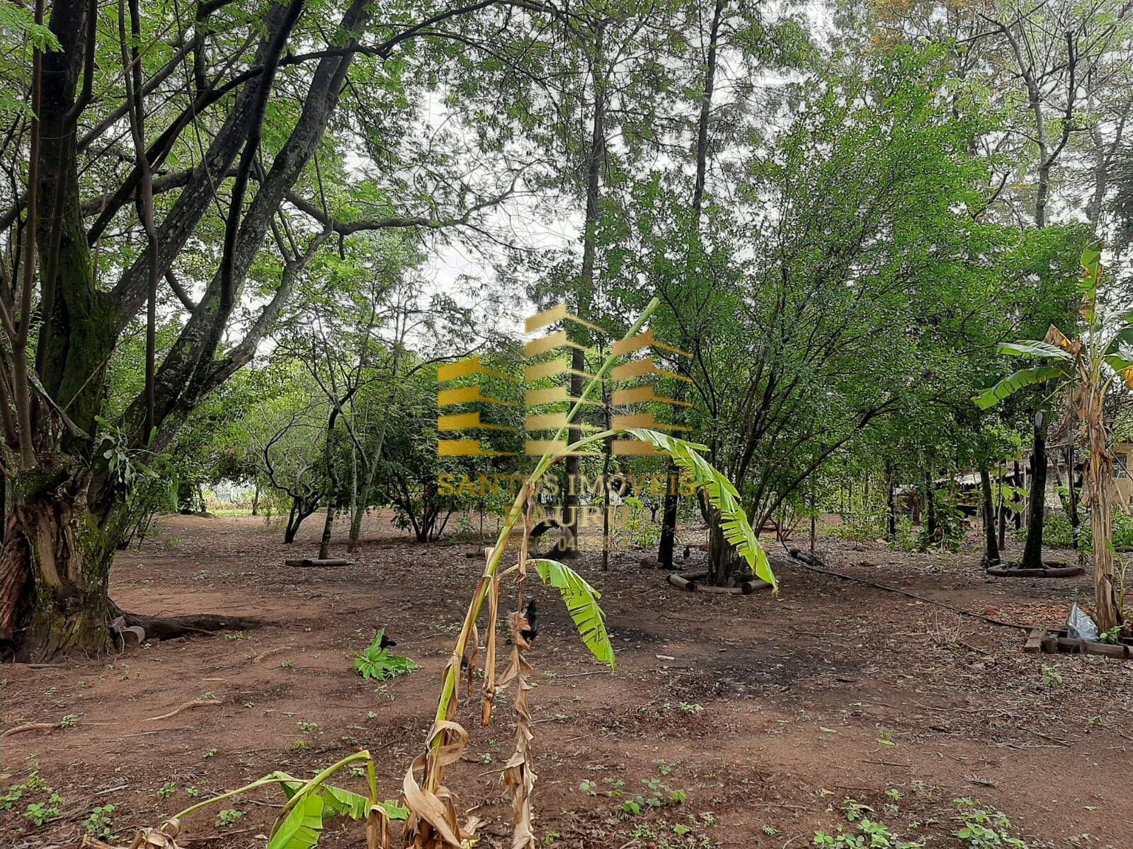 Fazenda à venda com 5 quartos, 32600m² - Foto 32