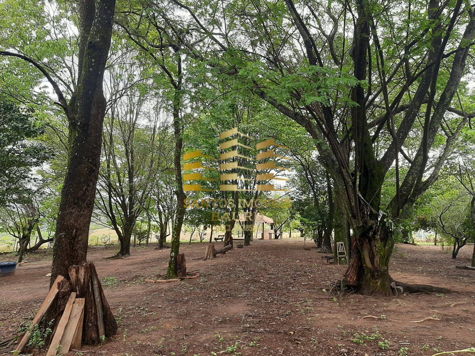 Fazenda à venda com 5 quartos, 32600m² - Foto 36