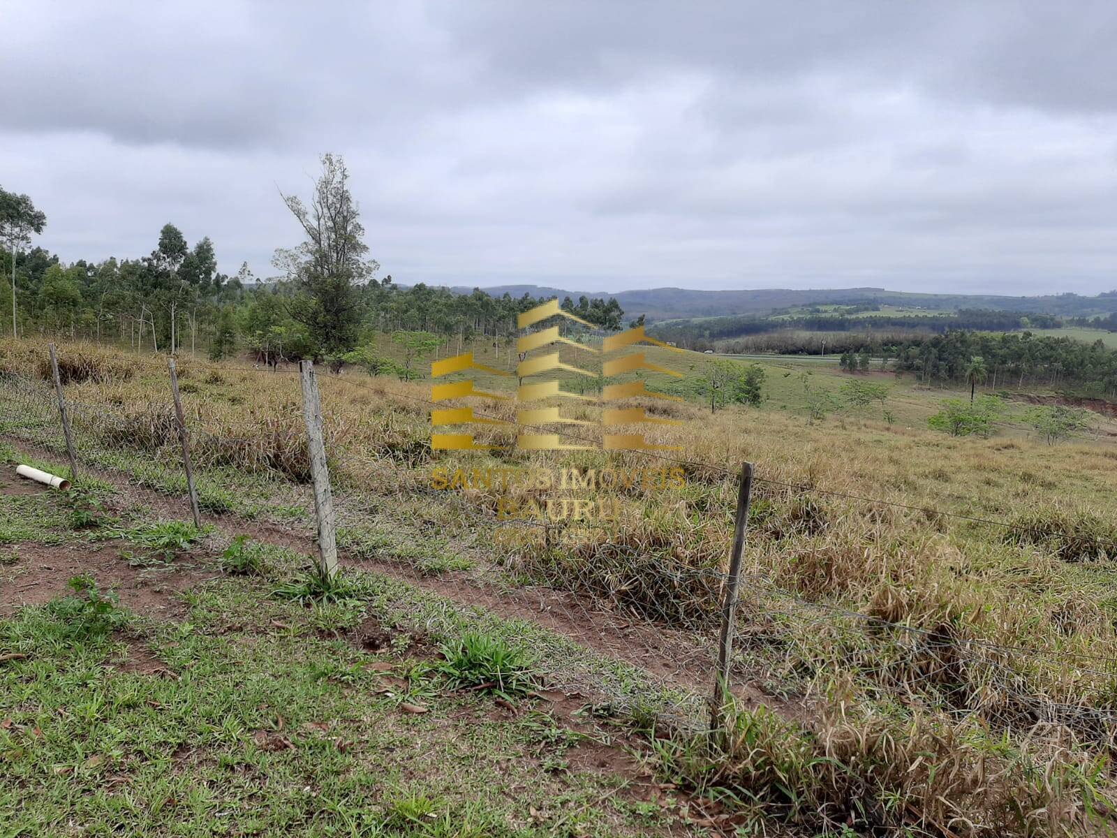 Fazenda à venda com 5 quartos, 32600m² - Foto 35