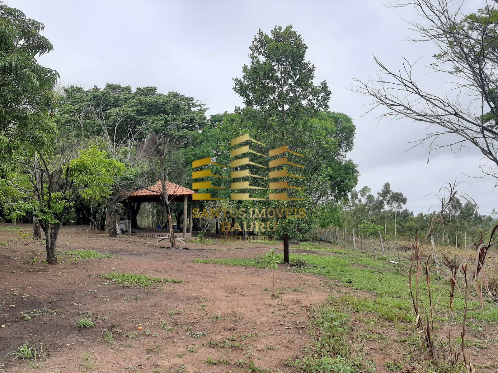 Fazenda à venda com 5 quartos, 32600m² - Foto 28