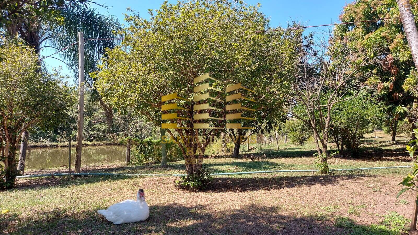 Fazenda à venda com 3 quartos, 100m² - Foto 6