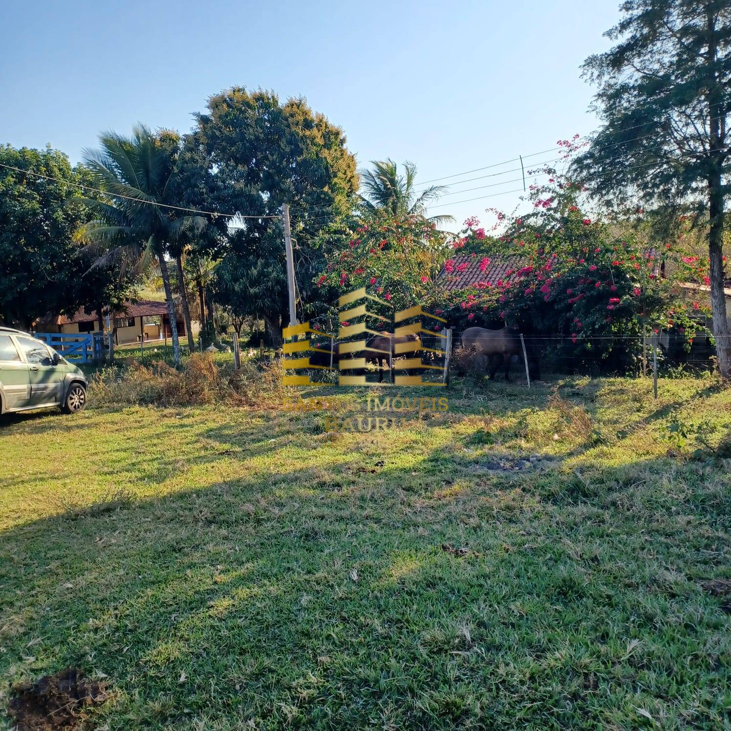 Fazenda à venda com 3 quartos, 100m² - Foto 11